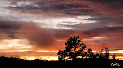 POR DO SOL - 01/03/2012