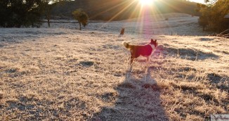...E O INVERNO CHEGOU!